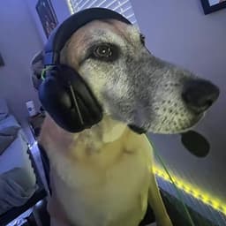 d0nnn_
