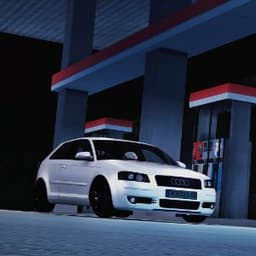 RAM1NHOS