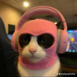 Holo_Kostik1
