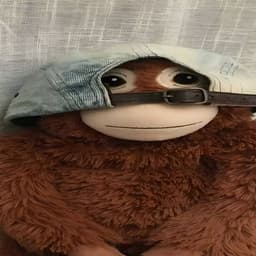 ny_4e_csgo