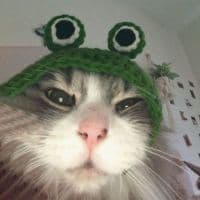 wempestt