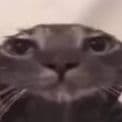 FlixieVZ
