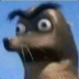 CaptnDonger