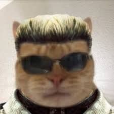 Swistak666