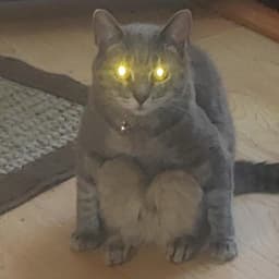 psydestroyer