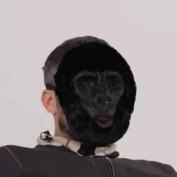 dionex_d