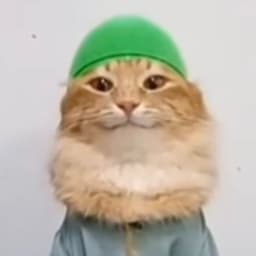 pipito27