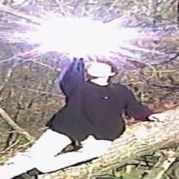 willd1eyoung