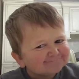 N0L1-