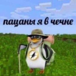 L1mLyySKR