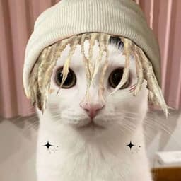 RayDisaid