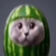w3rt11