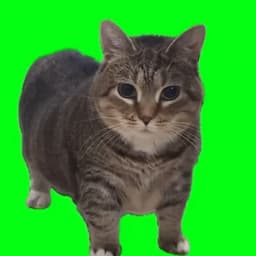 kibab_