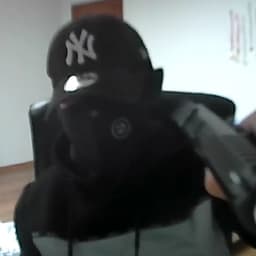 Ptaku_