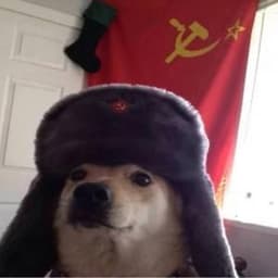 _Kubolek_