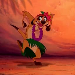 TimoN_O1