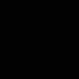dowi