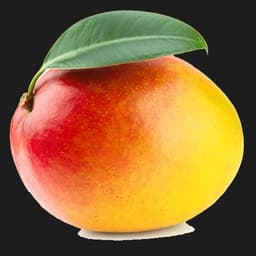 MangoCS2