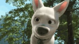 d_first_1