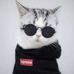 Mesoovy