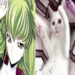 ayyanooo
