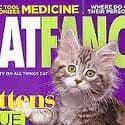katfancy