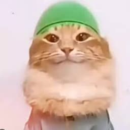 d0r3xy