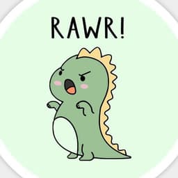 -RAWRR