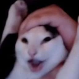 szymcbar