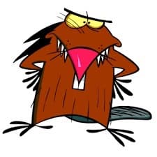 _MrBeaveR