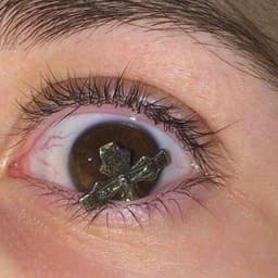 _PLANTANIUM_