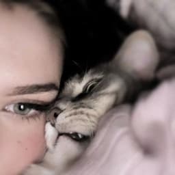 MeowEasy7