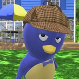 Robin_-_