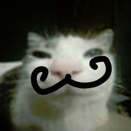 matredd42