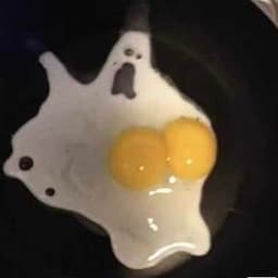 PPPP105