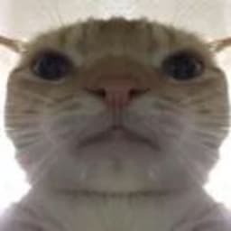 EzForOgi