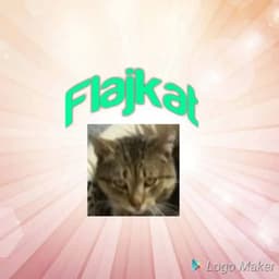 Flajkat