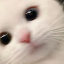 Pyrocax