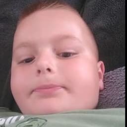 swistak4