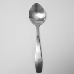 SpoonKiIIer