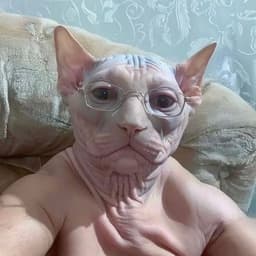 FapFlash