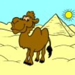 IceColdCamel