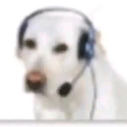 bigdallsye