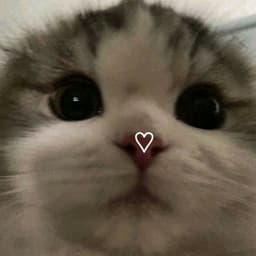 L3LA