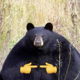 AlexASP96