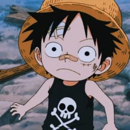 ___Luffy