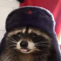 chunkuz