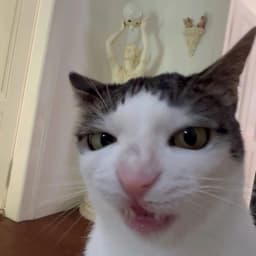 MathSabo