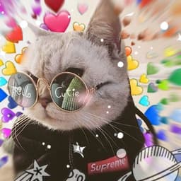 LFT_seta