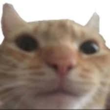 Decaty